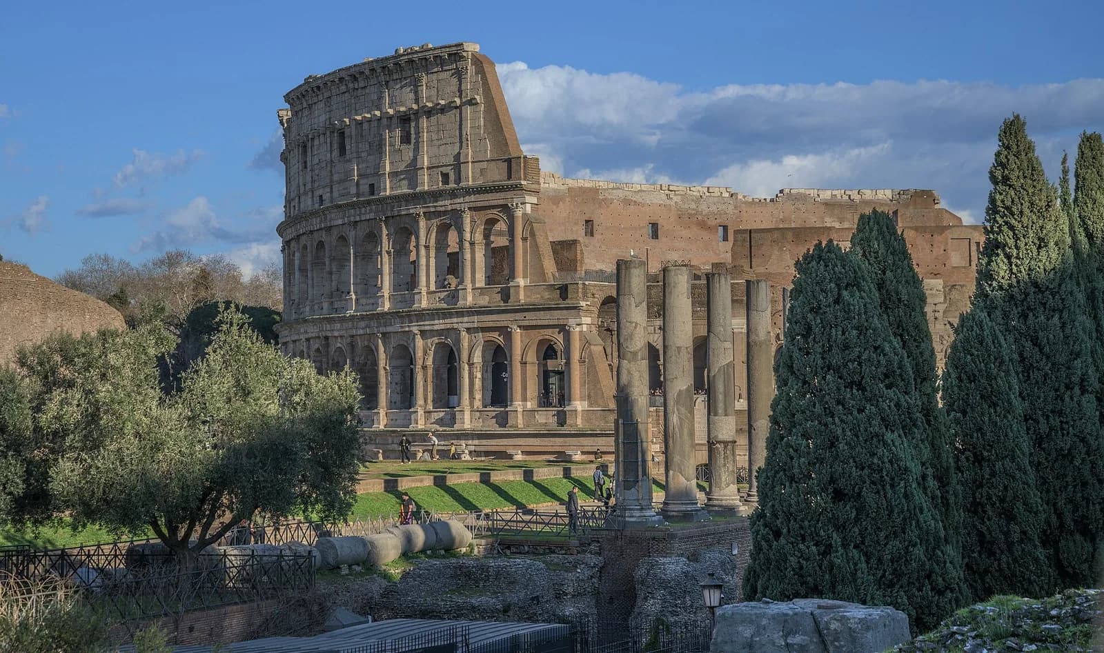 The Colosseum in Rome seen in warm afternoon light from the Roman Forum, framed by cypresses and olive trees with almost no visitors in view